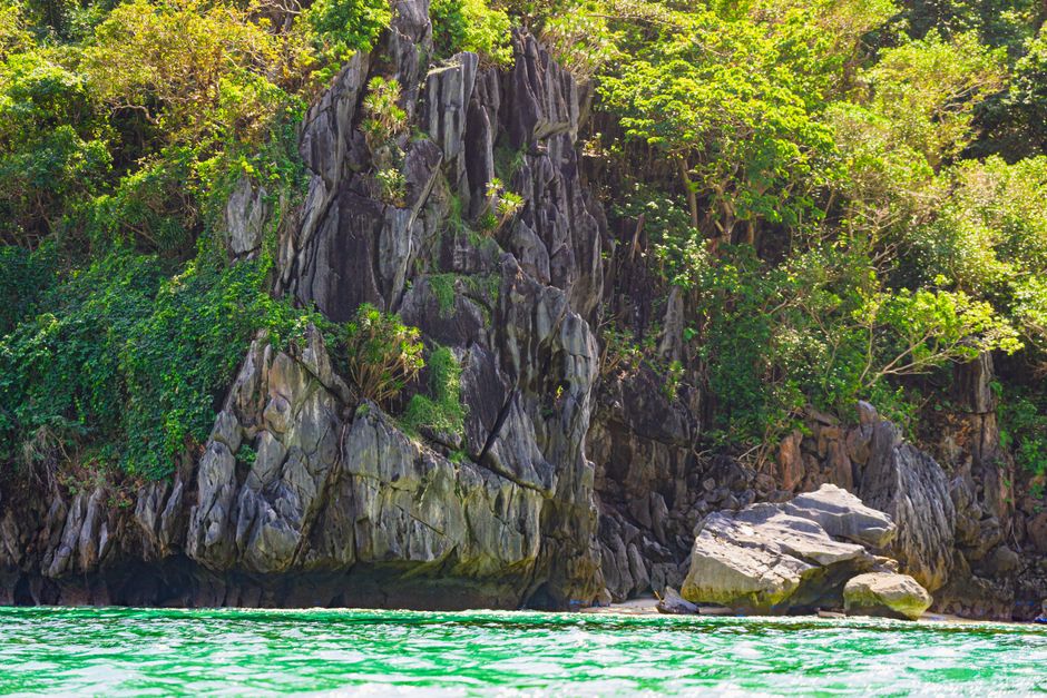 Rocky cliff with vibrant green foliage and turquoise water at the base.