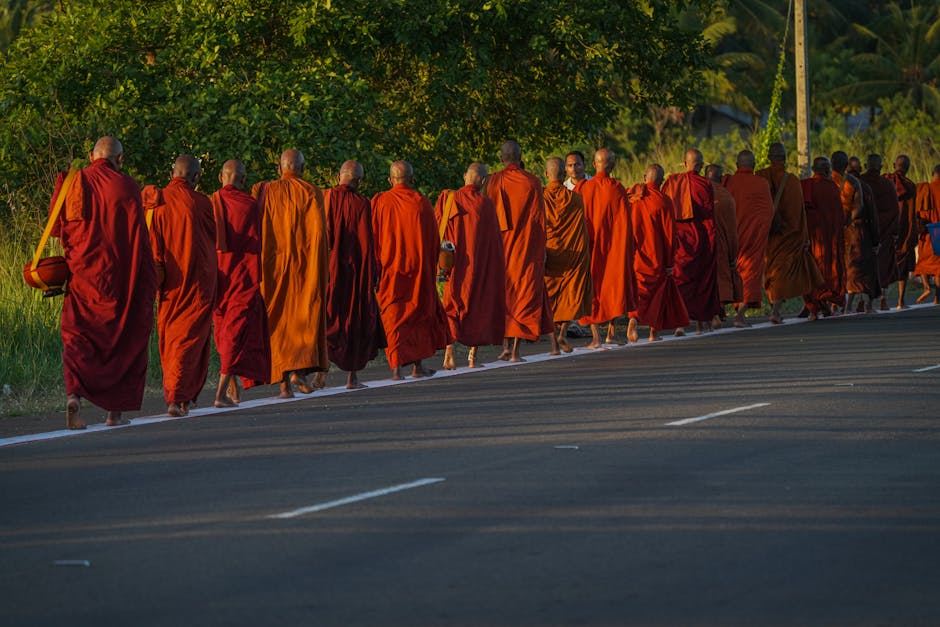 A group of Buddhist monks in vibrant robes walking on a sunlit road in Sri Lanka.