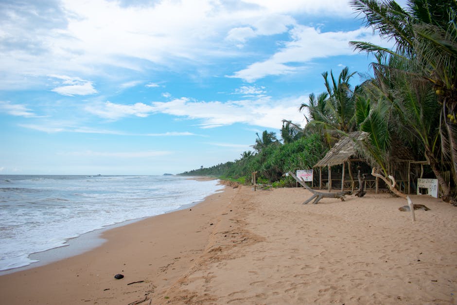 Tranquil beach scene in Colombo, Sri Lanka with palm trees and a rustic hut along a sandy shore.