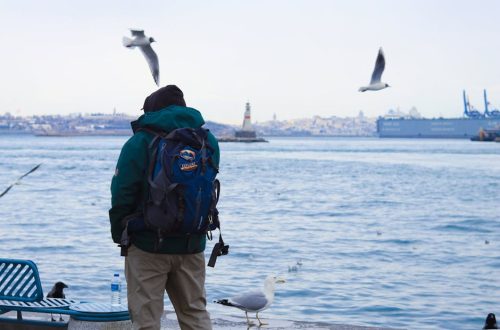 Backpacking Trips: A No-Fluff Planning Guide That Works
