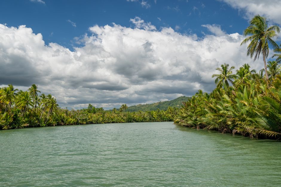 Costa Rica Travel Guide: What Nobody Tells You About Pura Vida