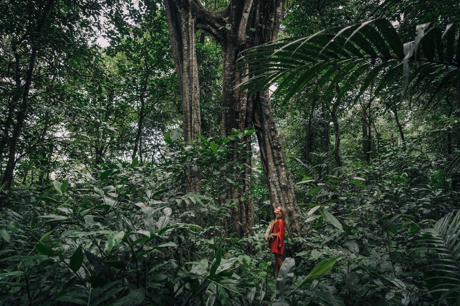 A woman in a red dress stands amidst dense tropical foliage in a serene forest setting.
