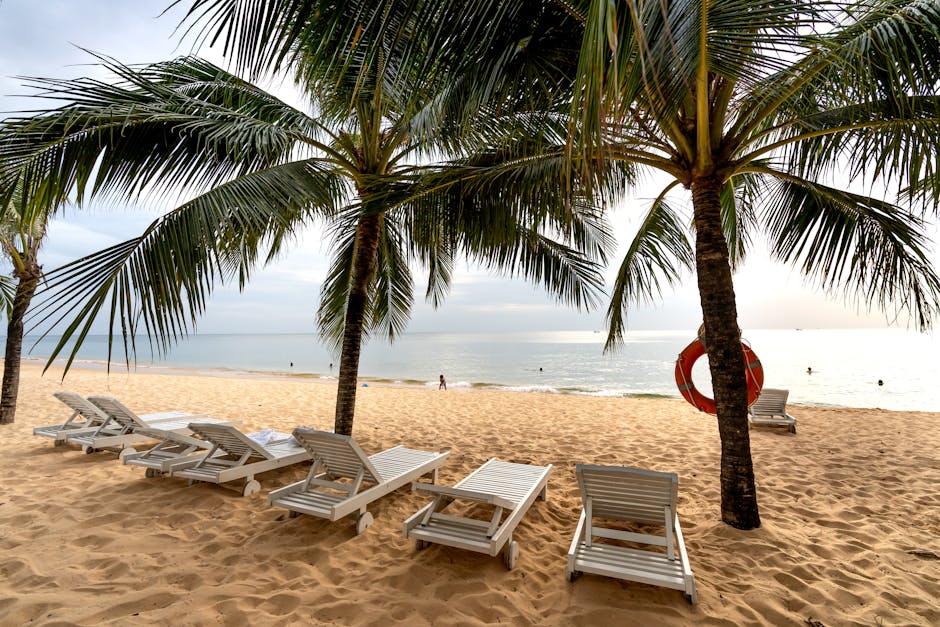 Serene tropical beach scene with palm trees, sun loungers, and a calm ocean view.