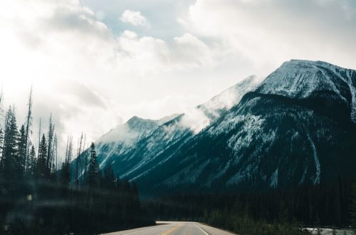 National Parks Road Trip With Young Kids: Worth the Hassle? National Parks Road Trip With Young Kids: Worth the Hassle?