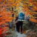 Patagonia Multi-Day Hike Costs 2026: Patagonia Multi-Day Hike Costs in 2026: Gear, Permits, and Route Budgets