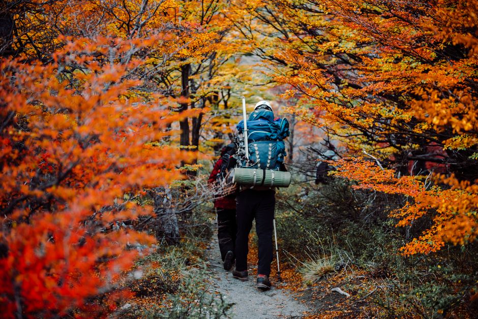 Patagonia Multi-Day Hike Costs 2026: Patagonia Multi-Day Hike Costs in 2026: Gear, Permits, and Route Budgets