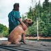 How to Find Pet-Friendly Vacation Rentals in Major US Cities
