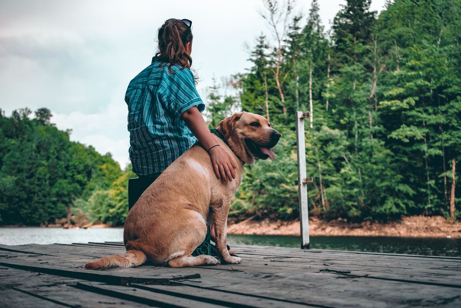 How to Find Pet-Friendly Vacation Rentals in Major US Cities