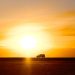 Tasmania Road Trips: 4 Circuits, Real Distances and Costs