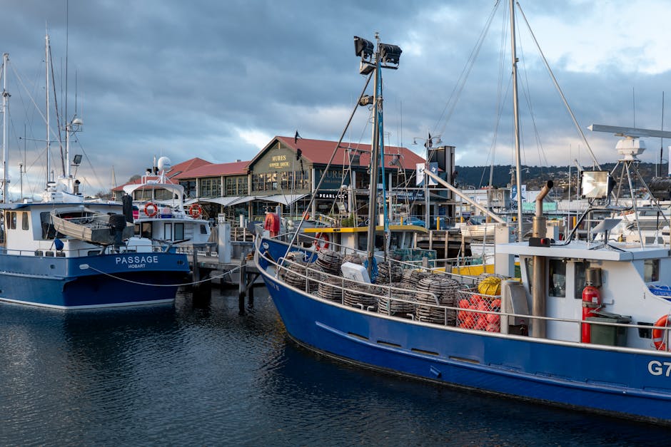 Fishing boats docked at the scenic Hobart Waterfront in Tasmania, Australia.