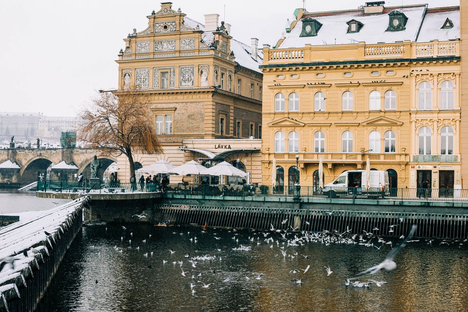 Winter view of historic buildings by a river with seagulls flying above, showcasing a serene snowy cityscape.