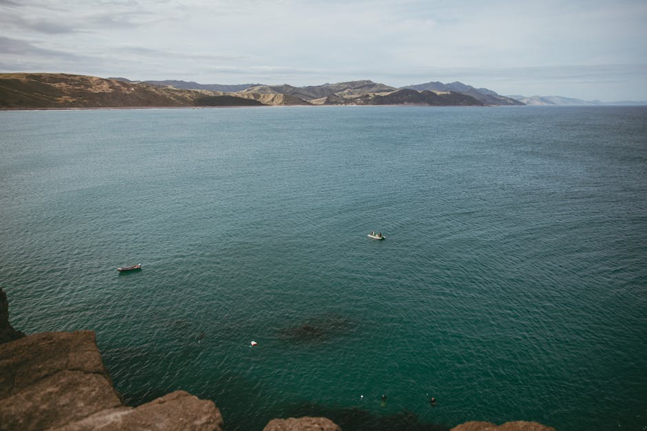 A serene view of Cape Palliser coastline with deep blue waters and distant hills, New Zealand.